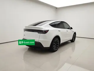 Tesla Model Y 2026 купить из Китая, цена 6 850 000 ₽ — Suifenhe Auto