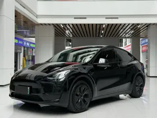 Tesla Model Y 2023 купить из Китая, цена 5 628 000 ₽ — Suifenhe Auto