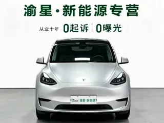 Tesla Model Y 2024 купить из Китая, цена 5 030 000 ₽ — Suifenhe Auto