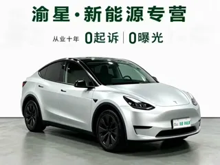 Tesla Model Y 2024 купить из Китая, цена 5 030 000 ₽ — Suifenhe Auto