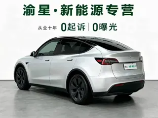 Tesla Model Y 2024 купить из Китая, цена 5 030 000 ₽ — Suifenhe Auto