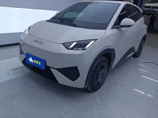 BYD Seagull 2025 купить из Китая, цена 1 293 000 ₽ — Suifenhe Auto