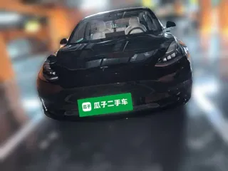 Tesla Model 3 2020 купить из Китая, цена 4 197 000 ₽ — Suifenhe Auto