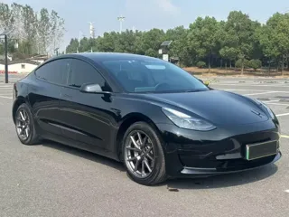 Tesla Model 3 2023 купить из Китая, цена 4 837 000 ₽ — Suifenhe Auto