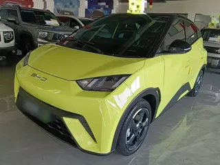 BYD Seagull 2024 купить из Китая, цена 1 365 000 ₽ — Suifenhe Auto