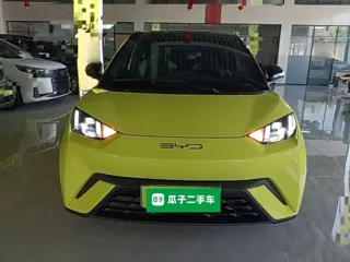 BYD Seagull 2024 купить из Китая, цена 1 365 000 ₽ — Suifenhe Auto