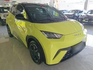 BYD Seagull 2024 купить из Китая, цена 1 365 000 ₽ — Suifenhe Auto