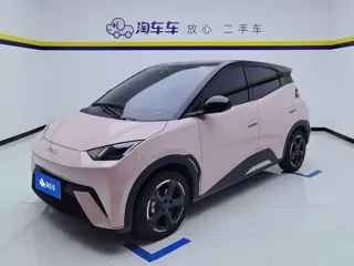 BYD Seagull 2024 купить из Китая, цена 1 416 000 ₽ — Suifenhe Auto