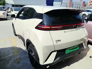 BYD Seagull 2024 купить из Китая, цена 1 256 000 ₽ — Suifenhe Auto