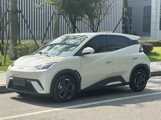 BYD Seagull 2024 купить из Китая, цена 1 375 000 ₽ — Suifenhe Auto
