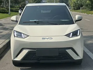 BYD Seagull 2024 купить из Китая, цена 1 375 000 ₽ — Suifenhe Auto