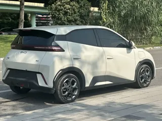 BYD Seagull 2024 купить из Китая, цена 1 375 000 ₽ — Suifenhe Auto