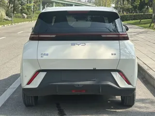 BYD Seagull 2024 купить из Китая, цена 1 375 000 ₽ — Suifenhe Auto