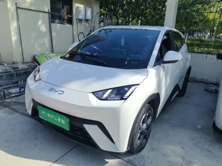 BYD Seagull 2024 купить из Китая, цена 1 294 000 ₽ — Suifenhe Auto