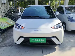 BYD Seagull 2024 купить из Китая, цена 1 294 000 ₽ — Suifenhe Auto