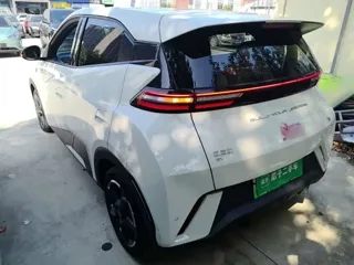 BYD Seagull 2024 купить из Китая, цена 1 294 000 ₽ — Suifenhe Auto