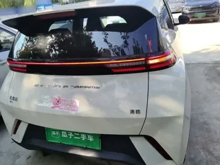 BYD Seagull 2024 купить из Китая, цена 1 294 000 ₽ — Suifenhe Auto