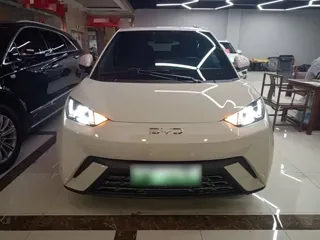 BYD Seagull 2025 купить из Китая, цена 1 449 000 ₽ — Suifenhe Auto