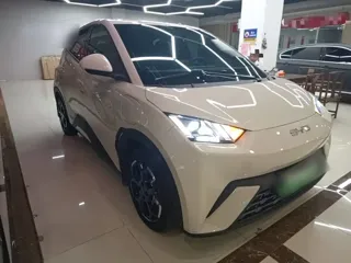 BYD Seagull 2025 купить из Китая, цена 1 449 000 ₽ — Suifenhe Auto