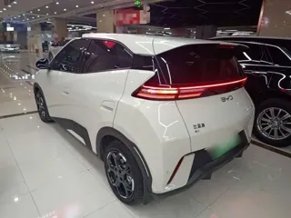 BYD Seagull 2025 купить из Китая, цена 1 449 000 ₽ — Suifenhe Auto