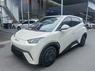 BYD Seagull 2024 купить из Китая, цена 1 283 000 ₽ — Suifenhe Auto