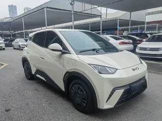 BYD Seagull 2024 купить из Китая, цена 1 283 000 ₽ — Suifenhe Auto