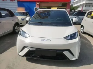 BYD Seagull 2025 купить из Китая, цена 1 364 000 ₽ — Suifenhe Auto