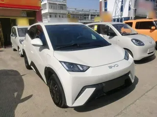 BYD Seagull 2025 купить из Китая, цена 1 364 000 ₽ — Suifenhe Auto