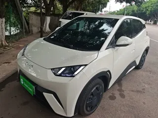 BYD Seagull 2025 купить из Китая, цена 1 396 000 ₽ — Suifenhe Auto