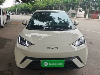BYD Seagull 2025 купить из Китая, цена 1 396 000 ₽ — Suifenhe Auto