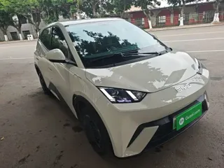 BYD Seagull 2025 купить из Китая, цена 1 396 000 ₽ — Suifenhe Auto