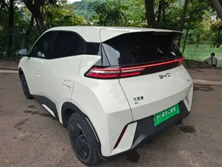 BYD Seagull 2025 купить из Китая, цена 1 396 000 ₽ — Suifenhe Auto