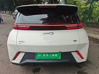 BYD Seagull 2025 купить из Китая, цена 1 396 000 ₽ — Suifenhe Auto