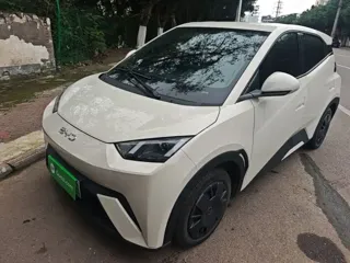 BYD Seagull 2025 купить из Китая, цена 1 358 000 ₽ — Suifenhe Auto