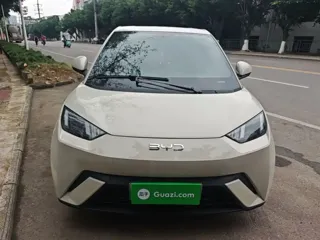 BYD Seagull 2025 купить из Китая, цена 1 358 000 ₽ — Suifenhe Auto