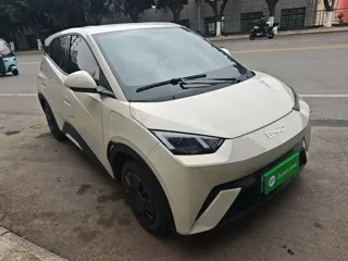 BYD Seagull 2025 купить из Китая, цена 1 358 000 ₽ — Suifenhe Auto