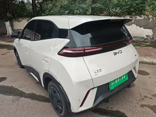 BYD Seagull 2025 купить из Китая, цена 1 358 000 ₽ — Suifenhe Auto