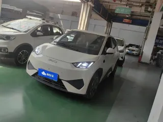 BYD Seagull 2025 купить из Китая, цена 1 486 000 ₽ — Suifenhe Auto