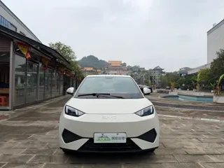 BYD Seagull 2025 купить из Китая, цена 1 411 000 ₽ — Suifenhe Auto