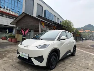 BYD Seagull 2025 купить из Китая, цена 1 411 000 ₽ — Suifenhe Auto