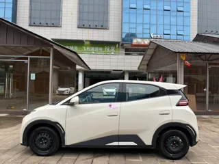 BYD Seagull 2025 купить из Китая, цена 1 411 000 ₽ — Suifenhe Auto