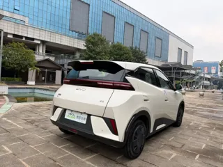 BYD Seagull 2025 купить из Китая, цена 1 411 000 ₽ — Suifenhe Auto