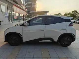BYD Seagull 2025 купить из Китая, цена 1 360 000 ₽ — Suifenhe Auto