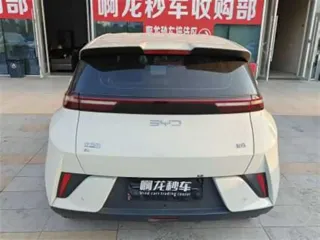 BYD Seagull 2025 купить из Китая, цена 1 360 000 ₽ — Suifenhe Auto