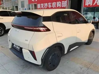 BYD Seagull 2025 купить из Китая, цена 1 360 000 ₽ — Suifenhe Auto
