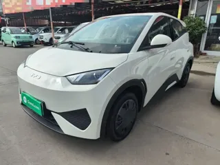 BYD Seagull 2026 купить из Китая, цена 1 531 000 ₽ — Suifenhe Auto