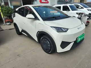 BYD Seagull 2026 купить из Китая, цена 1 531 000 ₽ — Suifenhe Auto