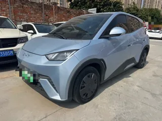 BYD Seagull 2024 купить из Китая, цена 1 192 000 ₽ — Suifenhe Auto