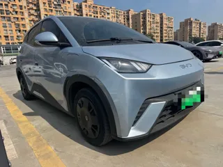 BYD Seagull 2024 купить из Китая, цена 1 192 000 ₽ — Suifenhe Auto