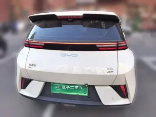BYD Seagull 2025 купить из Китая, цена 1 584 000 ₽ — Suifenhe Auto